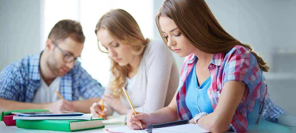 Essay Writing Services